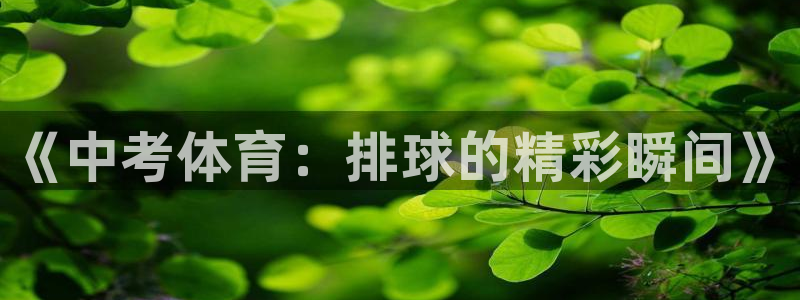 新闻图片