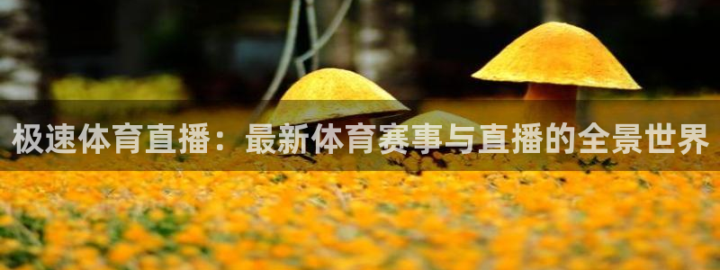 极速体育直播：最新体育赛事与直播的全景世界
