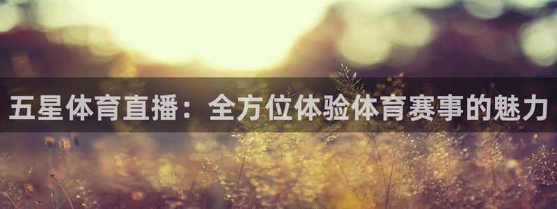 五星体育直播：全方位体验体育赛事的魅力